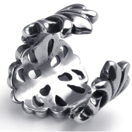 Verschiedene Stile Farbbrillanz Ausgezeichnete Qualität Titan Ring