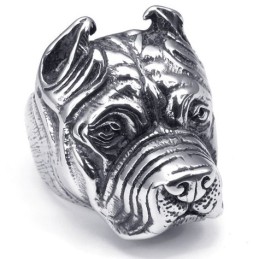 Modernes Design Zarte Farben Ausgezeichnete Qualität Titan Ring