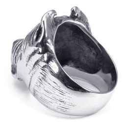 Modernes Design Zarte Farben Ausgezeichnete Qualität Titan Ring
