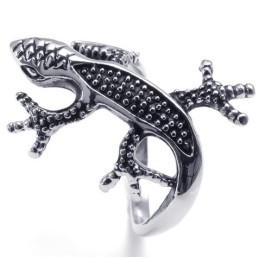 Attraktives Design Zarte Farben Um Eine Lange Geschichte Zu Haben Titan Ring