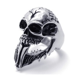Für Ihre Auswahl Farbbrillanz Um Eine Lange Geschichte Zu Haben Titan Ring