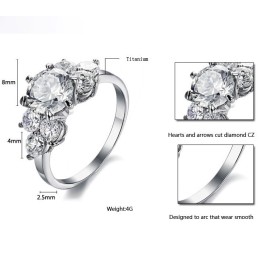 Hochwertiger Titanring Mit Strass