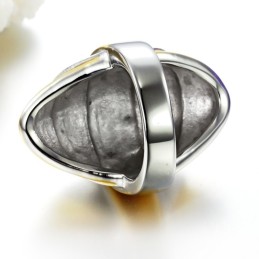 Qualität Und Quantität Gesichert Männlicher Übertriebener Titanring