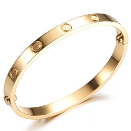 Einfach Zu Verwendender Titan-Armreif Für Damen