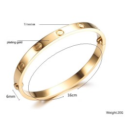 Einfach Zu Verwendender Titan-Armreif Für Damen