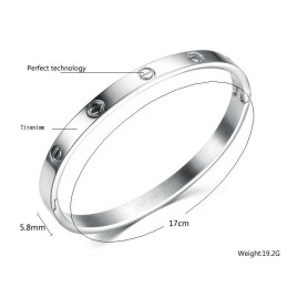 Qualität Und Quantität Gesicherter Weiblicher Titan-Armreif