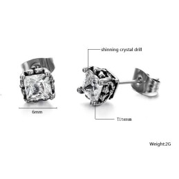 Stabile Qualität Unisex Titan Ohrringe Mit Diamant