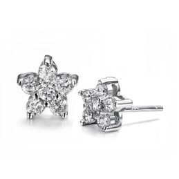 Bekannt Für Seine Hochwertigen, Allergiefreien, Platinierten Titanohrringe Mit Diamanten Für Damen