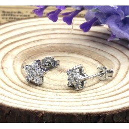 Bekannt Für Seine Hochwertigen, Allergiefreien, Platinierten Titanohrringe Mit Diamanten Für Damen