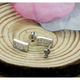 Hochwertige Damen-Titan-Ohrringe Mit Platinbeschichtung Und Diamant