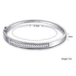 Zuverlässiger Qualitätsarmreif Aus Platiniertem Titan Für Damen, Allergiefrei, Mit Diamant