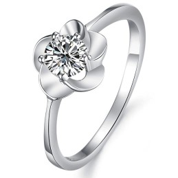 Die Königin Der Hochwertigen Damenmode, Platinierter Titanring