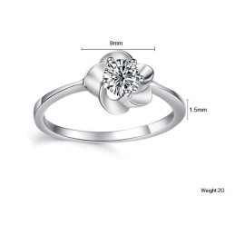 Die Königin Der Hochwertigen Damenmode, Platinierter Titanring