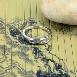 Qualität Und Quantität Gesichert Platinierter Titanring Für Liebhaber