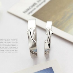 Komplett In Spezifikationen Delphin Platinierter Titanring Für Liebhaber