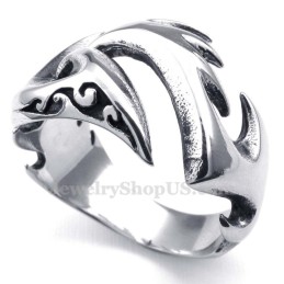 Herren Titanring