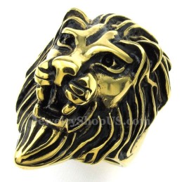 Löwenkopfring Aus Goldenem Titan