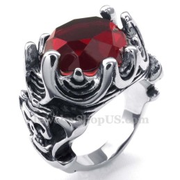 Titanring Mit Rotem Zirkon