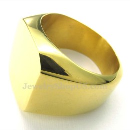 Herrenring Aus Glattem Gold-Titan