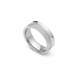 Gebürsteter 6-Mm-Ring Aus Titan Und Silber