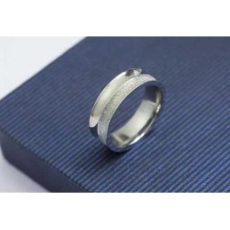 Gebürsteter 6-Mm-Ring Aus Titan Und Silber