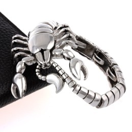 Skorpion Tier Armband Aus Poliertem Titan