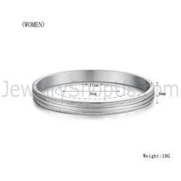 Tatanium Paar Armreifen C862