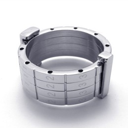 Puzzle-Titanring