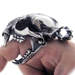 Titan-Anhänger Mit Dinosaurier-Totenkopf