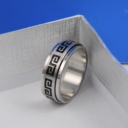 Herren Titanring