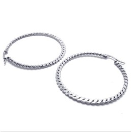 Ringgeflecht Titan Ohrringe