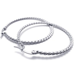 Ringgeflecht Titan Ohrringe
