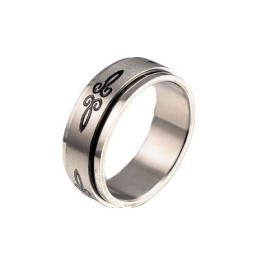 Herren Titanring