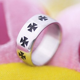 Herren Titanring