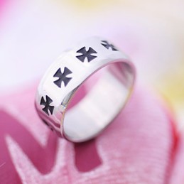 Herren Titanring