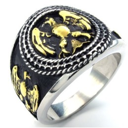 Modernes Design Farbbrillanz Zuverlässige Qualität Titan Ring