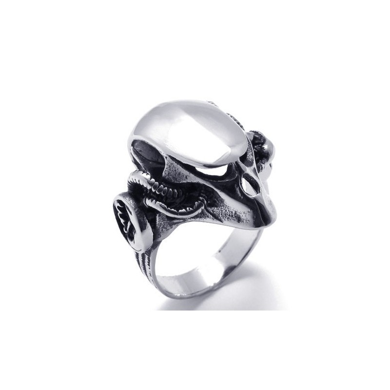 Gekonnte Verarbeitung Farbbrillanz Hochwertiger Titanring Gekonnte Verarbeitung Farbbrillanz Hochwertiger Titanring
