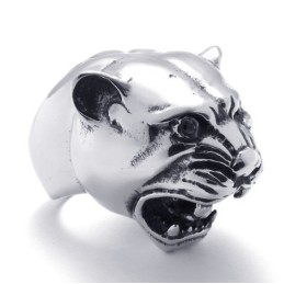 Gekonnte Verarbeitung Farbbrillanz Hochwertiger Titanring