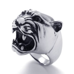 Gekonnte Verarbeitung Farbbrillanz Hochwertiger Titanring