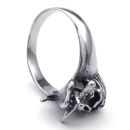 Professionelles Design Zarte Farben Stabile Qualität Titan Ring